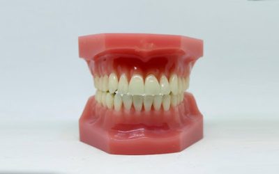 A Patient’s Guide to Root Canals: What to Expect and How They Work